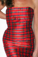 Silk gown, in red tartan - Close-up of top half